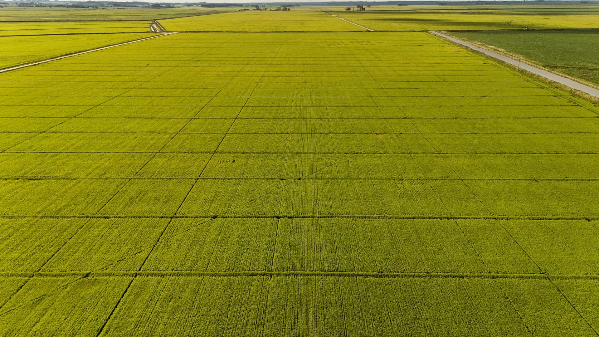 Gestão Agrícola